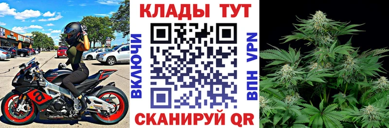 Где купить наркоту Абинск Cocaine  Alpha-PVP  МАРИХУАНА 