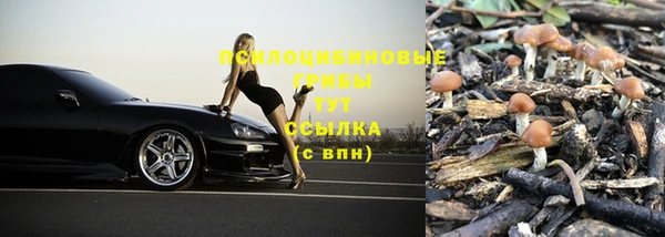 гидропоника Покачи