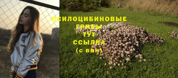 мяу мяу мука Переславль-Залесский