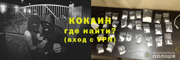 2c-b Пестово