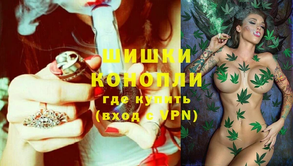 мяу мяу мука Переславль-Залесский