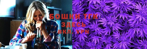 2c-b Пестово