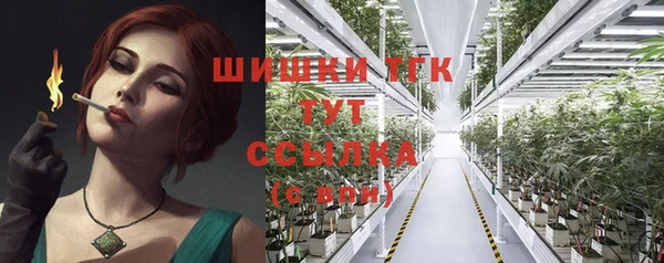 2c-b Пестово