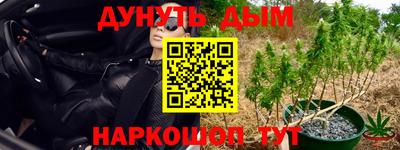 скорость Гагарин