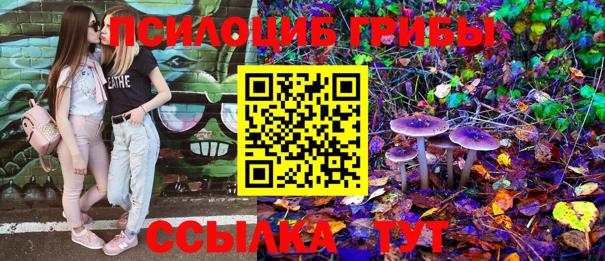 Абинск  Псилоцибиновые грибы Psilocybine cubensis  Вход с VPN  Псилоцибиновые грибы Magic Shrooms 