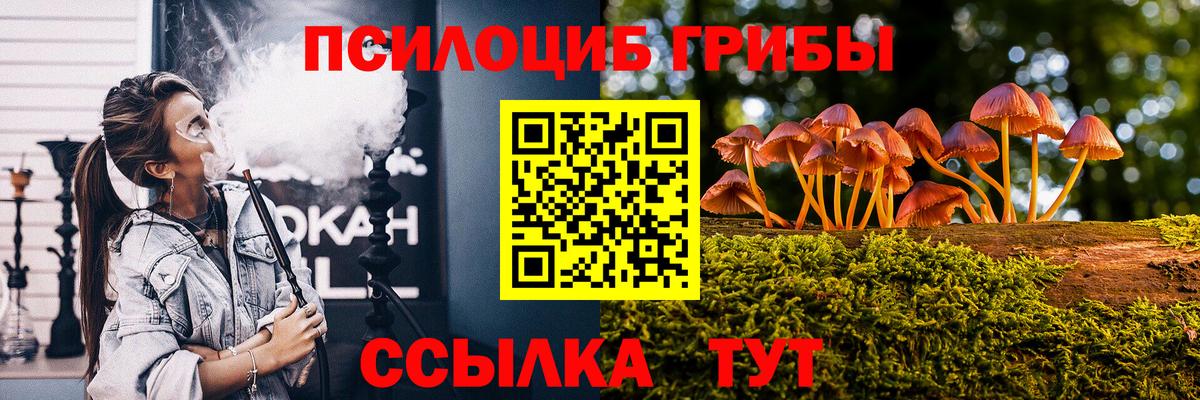 Абинск  Псилоцибиновые грибы ЛСД  Вход с VPN  Псилоцибиновые грибы Psilocybine cubensis 