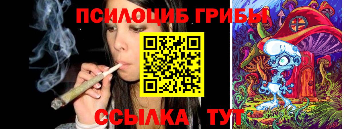 Галлюциногенные грибы Psilocybe Абинск